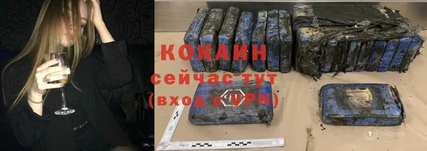 шишки Беломорск
