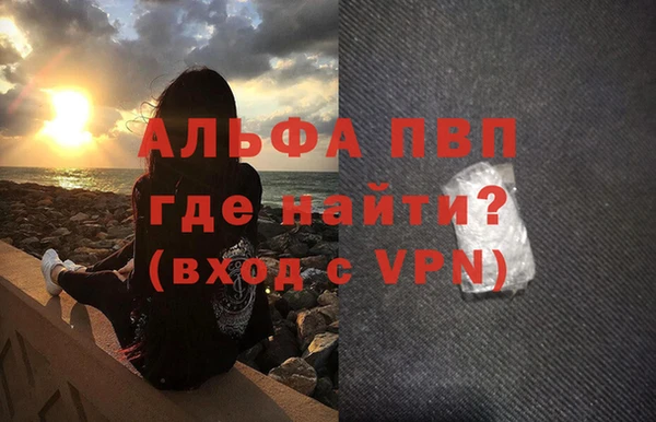 шишки Беломорск