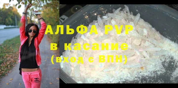 шишки Беломорск