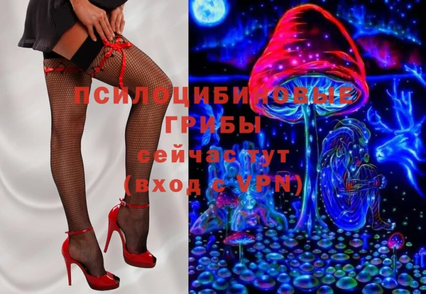 шишки Беломорск