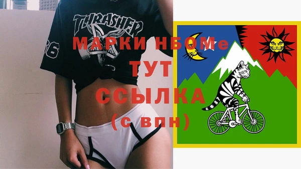 шишки Беломорск
