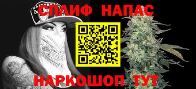 спайс Малгобек