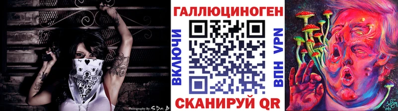 Псилоцибиновые грибы GOLDEN TEACHER Гай