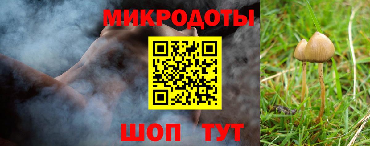 Псилоцибиновые грибы Psilocybine cubensis Гай