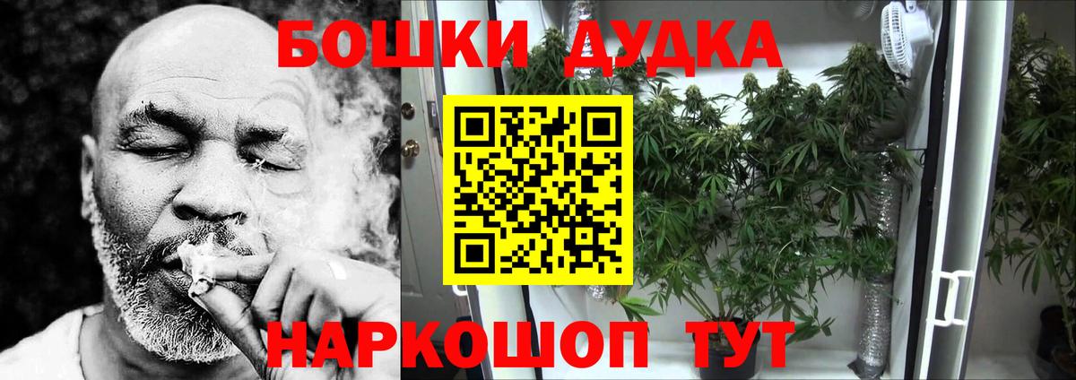 МАРИХУАНА Bruce Banner  Вход с VPN  Каннабис гибрид  Гай  Каннабис Bruce Banner 